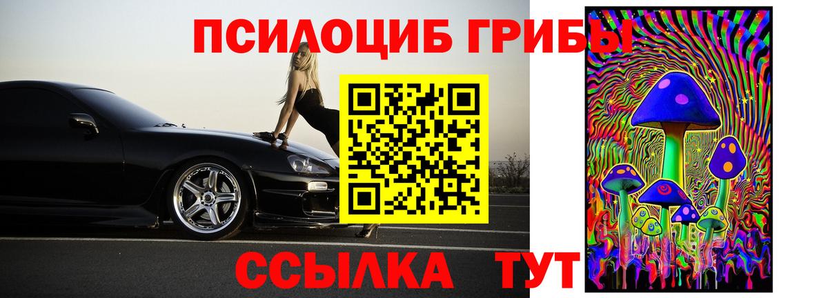 Галлюциногенные грибы мухоморы Гатчина